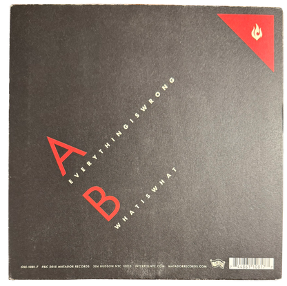 Interpol – Everything Is Wrong / What Is What (US 7" Single, 2015)