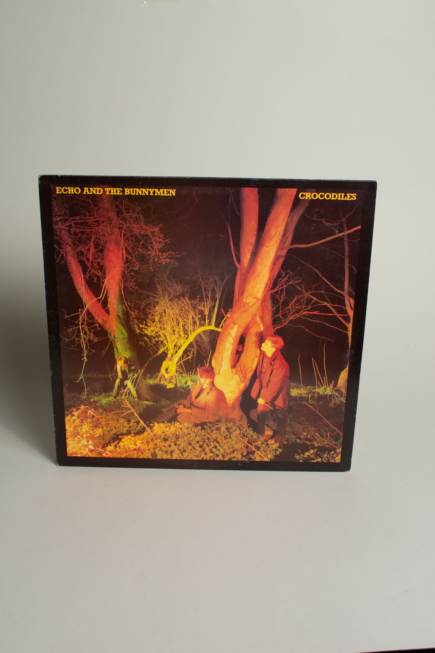 Echo And The Bunnymen – Crocodiles (UK, 12" Album, 1980)