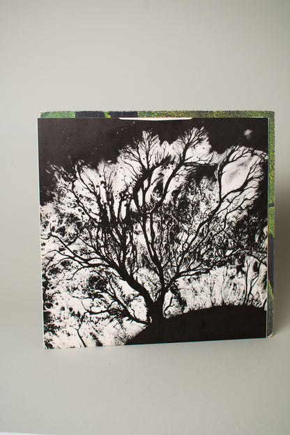 Dead Can Dance – The Serpent's Egg (UK, 12" Album, 1988)