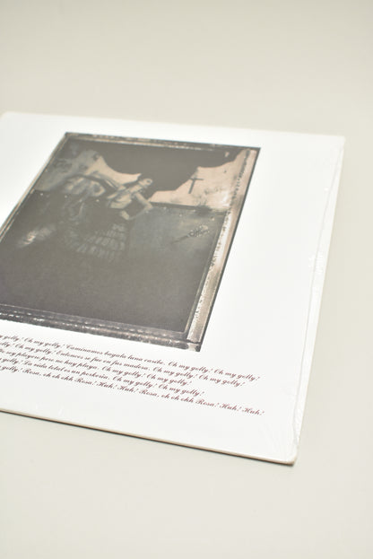 Pixies – Surfer Rosa (US 12" LP, 2004)