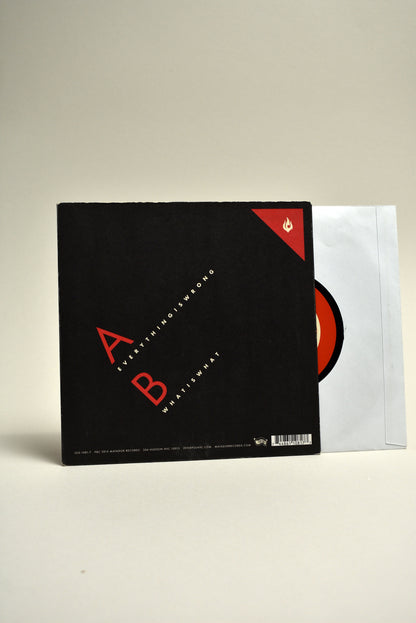 Interpol – Everything Is Wrong / What Is What (US 7" Single, 2015)