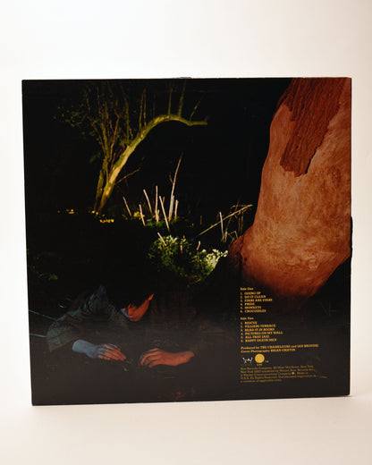 Echo and the Bunnymen – Crocodiles (US, Album, 1980)