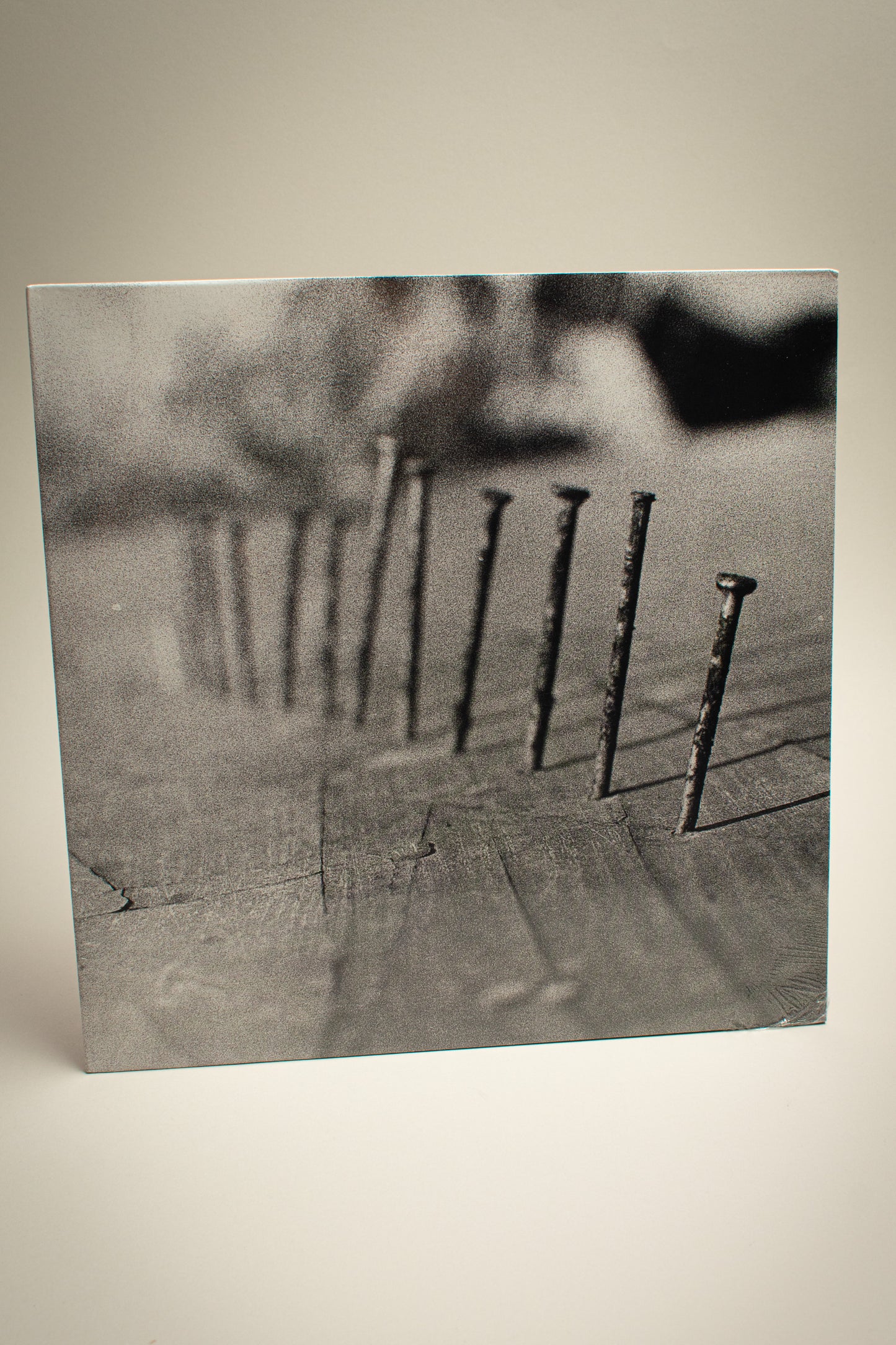 Blind Seagull – Nails (US, 12" Album, 2024)