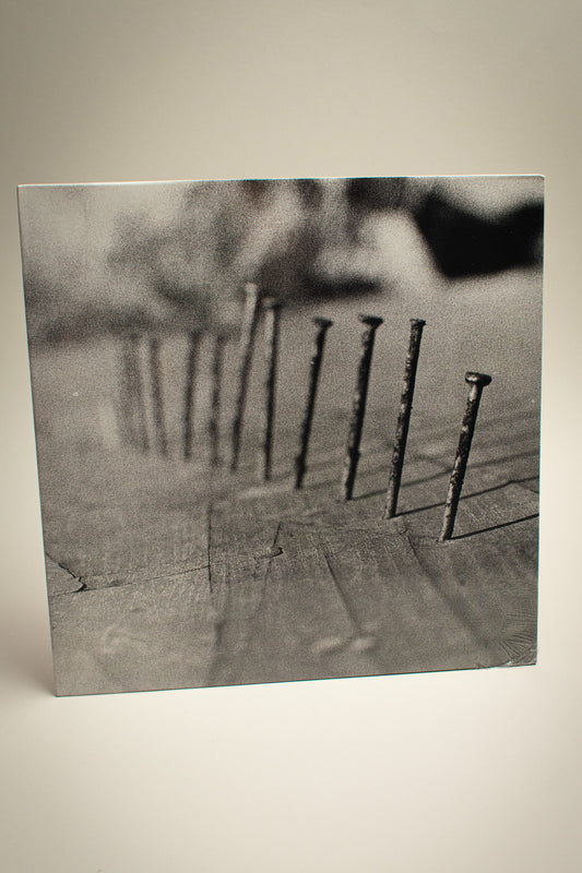 Blind Seagull – Nails (US, 12" Album, 2024)