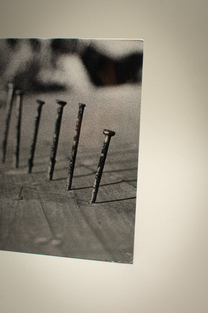 Blind Seagull – Nails (US, 12" Album, 2024)